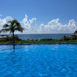 Meet your Posher, Lucy